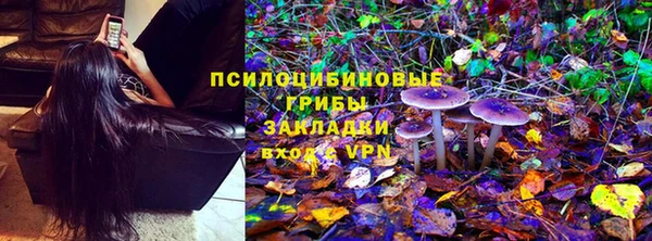 тгк Белокуриха