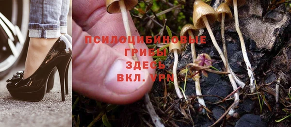 jwh Беломорск