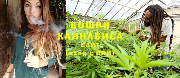 тгк Белокуриха